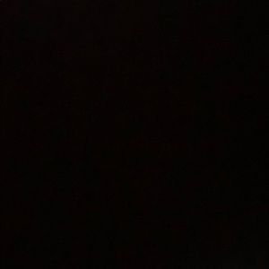 Meet your Posher, Rico